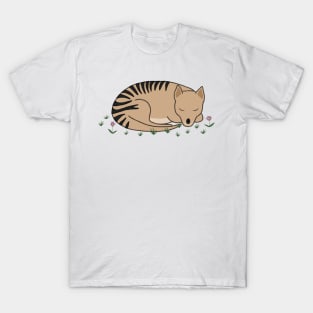 Thylacine Sleeping T-Shirt